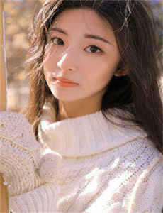 胜女的代价 电视剧