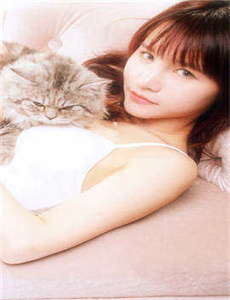国产午夜精品理论片小yo奈
