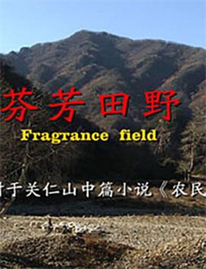 露水情缘与悲伤电影