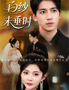 总裁老妈惊艳全世界