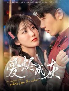 菲茨杰拉德家的圣诞